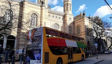 European Karate Championship in Budapest